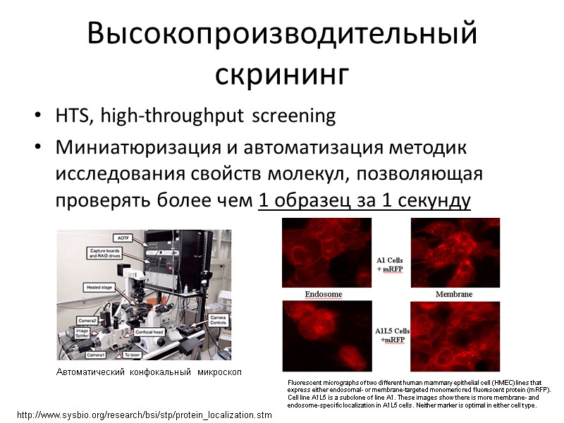Высокопроизводительный скрининг HTS, high-throughput screening Миниатюризация и автоматизация методик исследования свойств молекул, позволяющая проверять